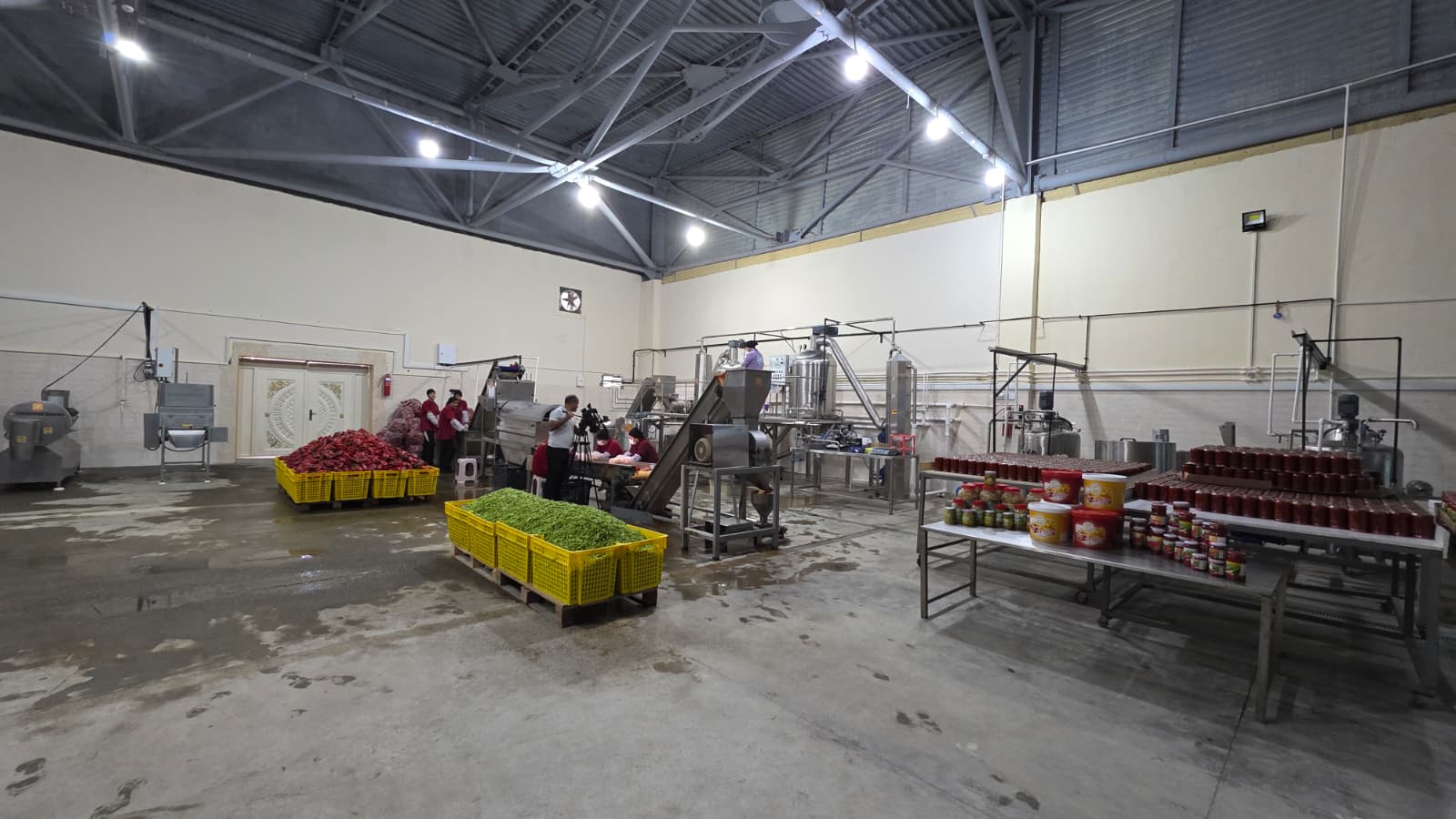 MACLINE: Düşük Kapasiteli Salça Tesisi Rehberi