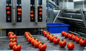 Domates ve biber salçası tesislerinde otomasyonlu hijyen çözümleri