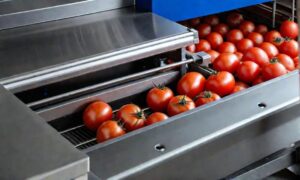 Endüstriyel salça üretim hattında CIP temizlik sistemi